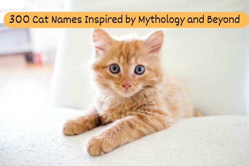 Cat Names Inspired by Mythology