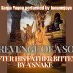 Sarpa Yagna performed by Janamejaya